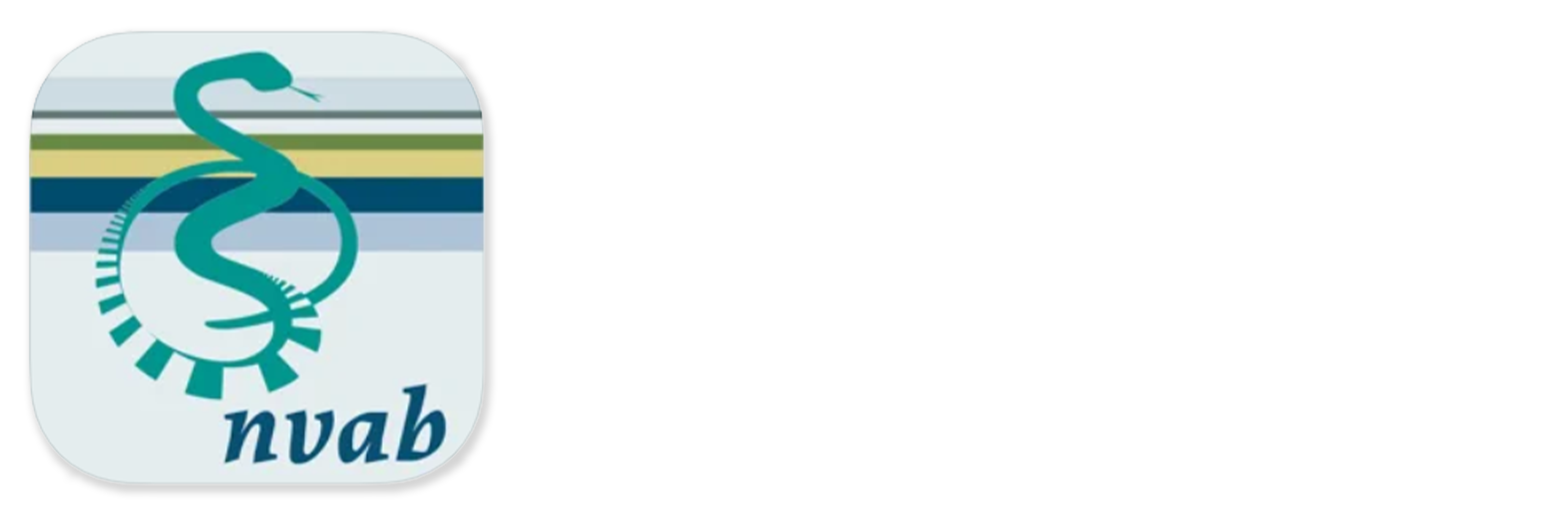 NVAB Guidelines Titel